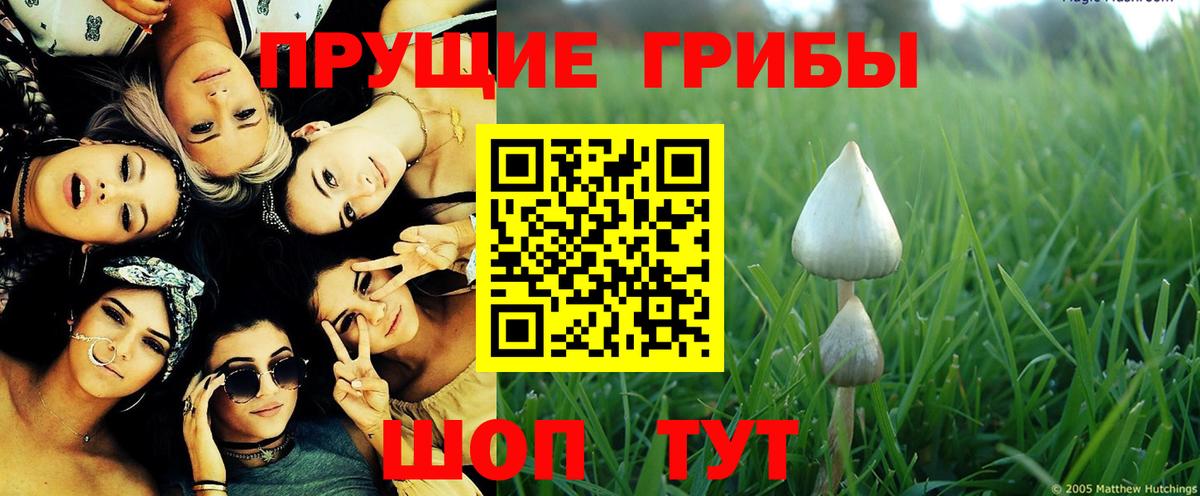 Светлоград  Галлюциногенные грибы мицелий  Вход с VPN 
